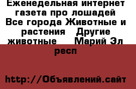 Еженедельная интернет - газета про лошадей - Все города Животные и растения » Другие животные   . Марий Эл респ.